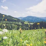 Oberer Gesslbauer 3*