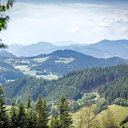Oberer Gesslbauer Hotel 3*