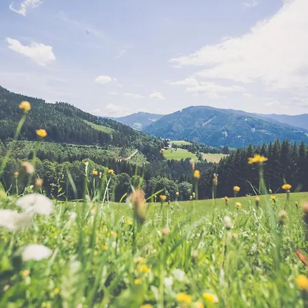 Oberer Gesslbauer 3*