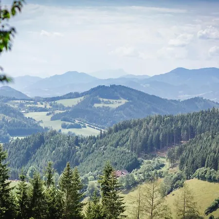 Hotel Oberer Gesslbauer 3*