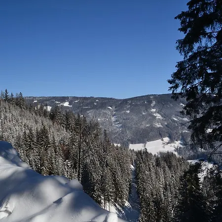 Oberer Gesslbauer Hotell