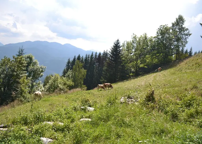 Oberer Gesslbauer Hotel