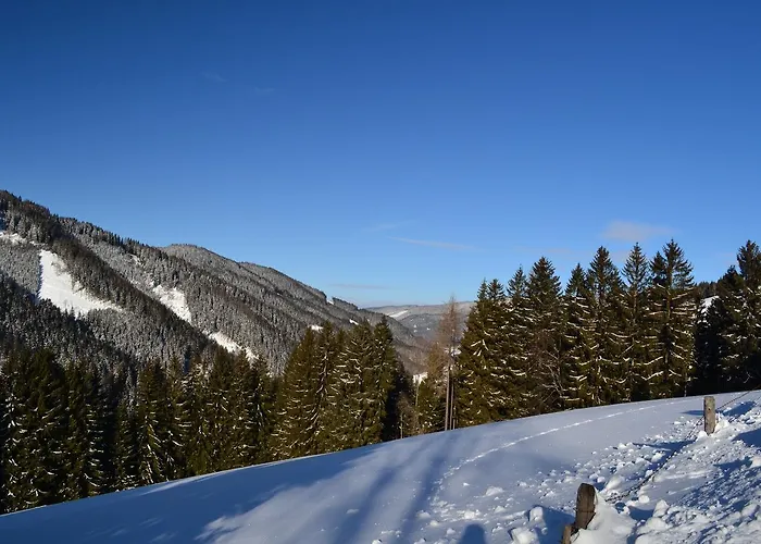 Hotel Oberer Gesslbauer