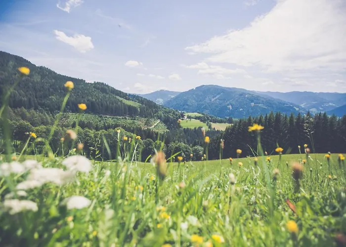 Oberer Gesslbauer 3*