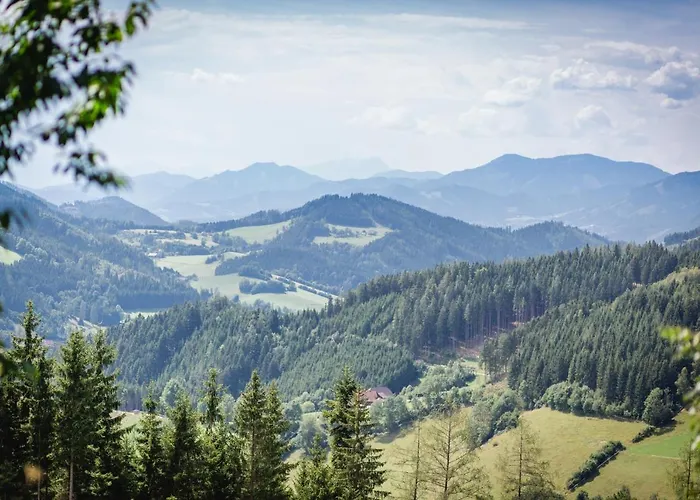 Hotel Oberer Gesslbauer 3*