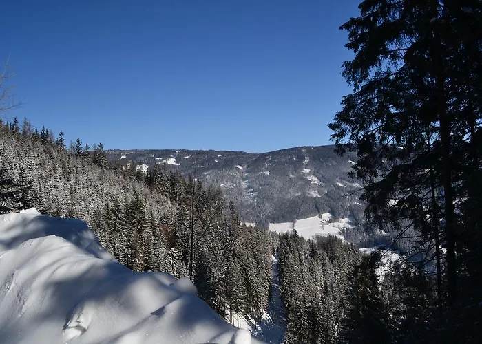 Oberer Gesslbauer Hotel